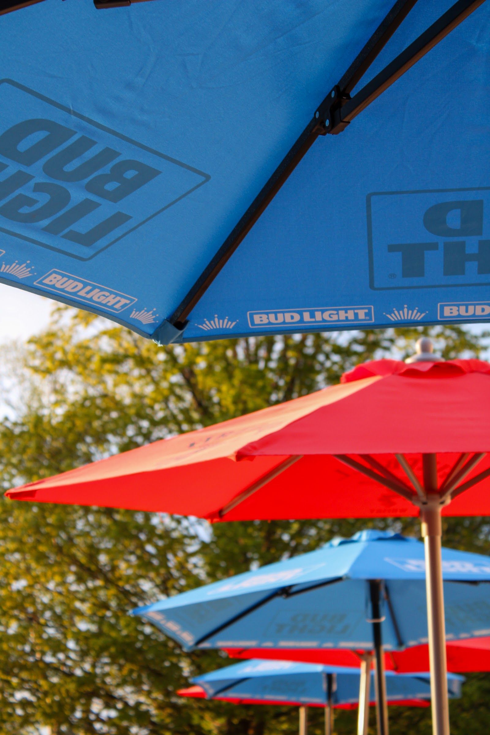 One Star Burgers & Dogs, Sister Bay
