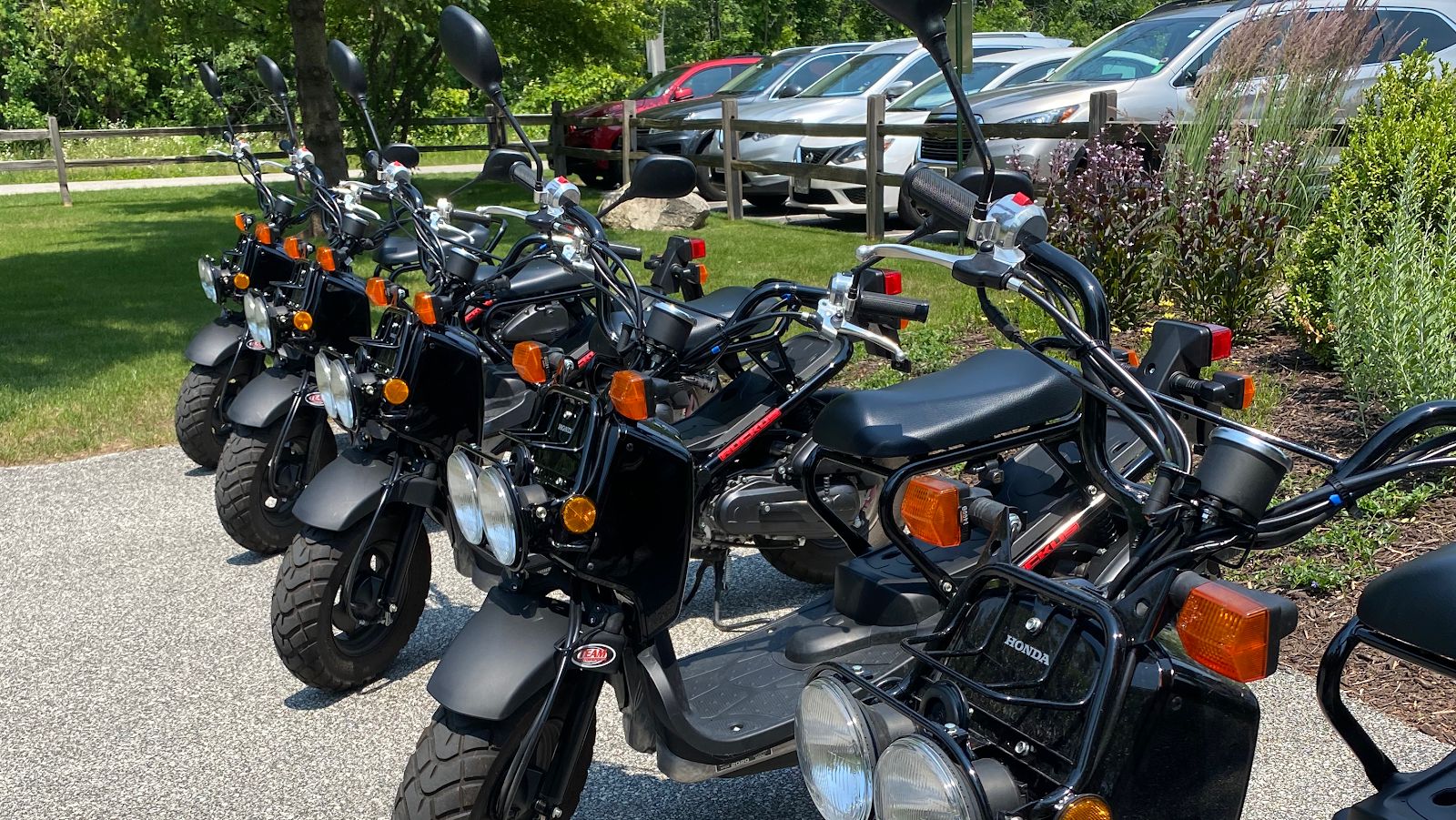 Edge of Park Bike & Moped Rentals, Fish Creek