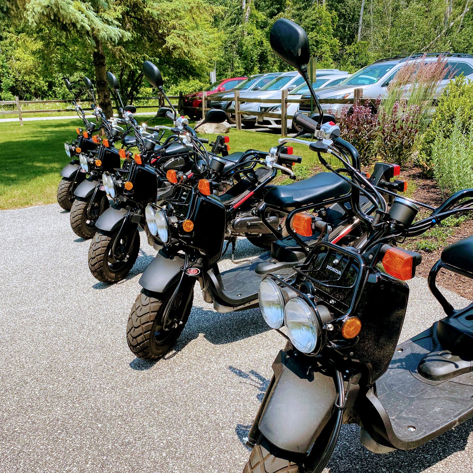 Edge of Park Bike & Moped Rentals, Fish Creek
