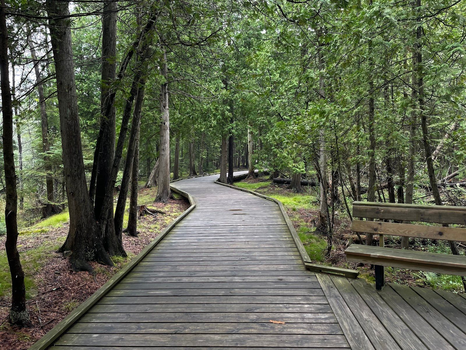 The Ridges Sanctuary, Baileys Harbor