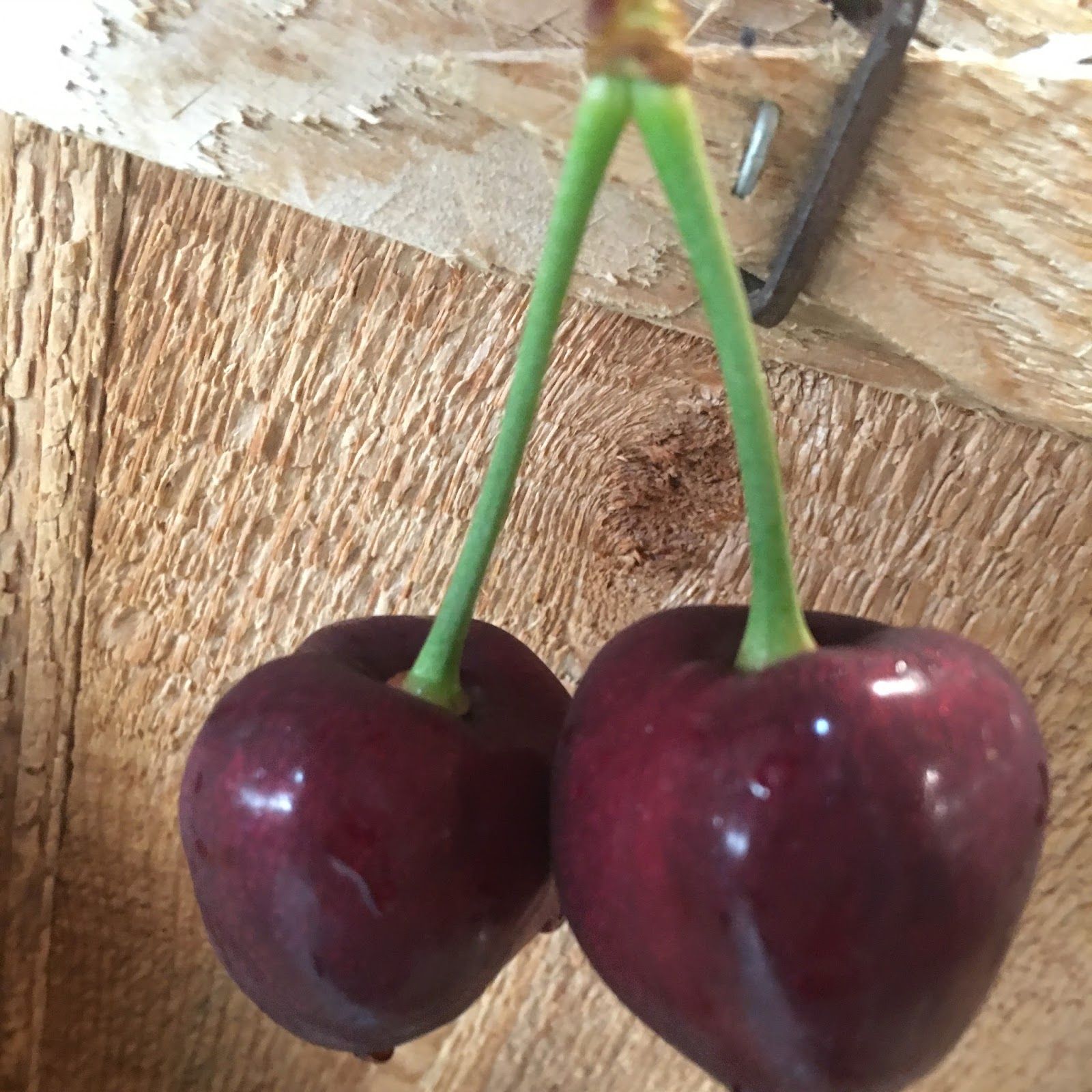 Seaquist Orchards Farm Market, Sister Bay
